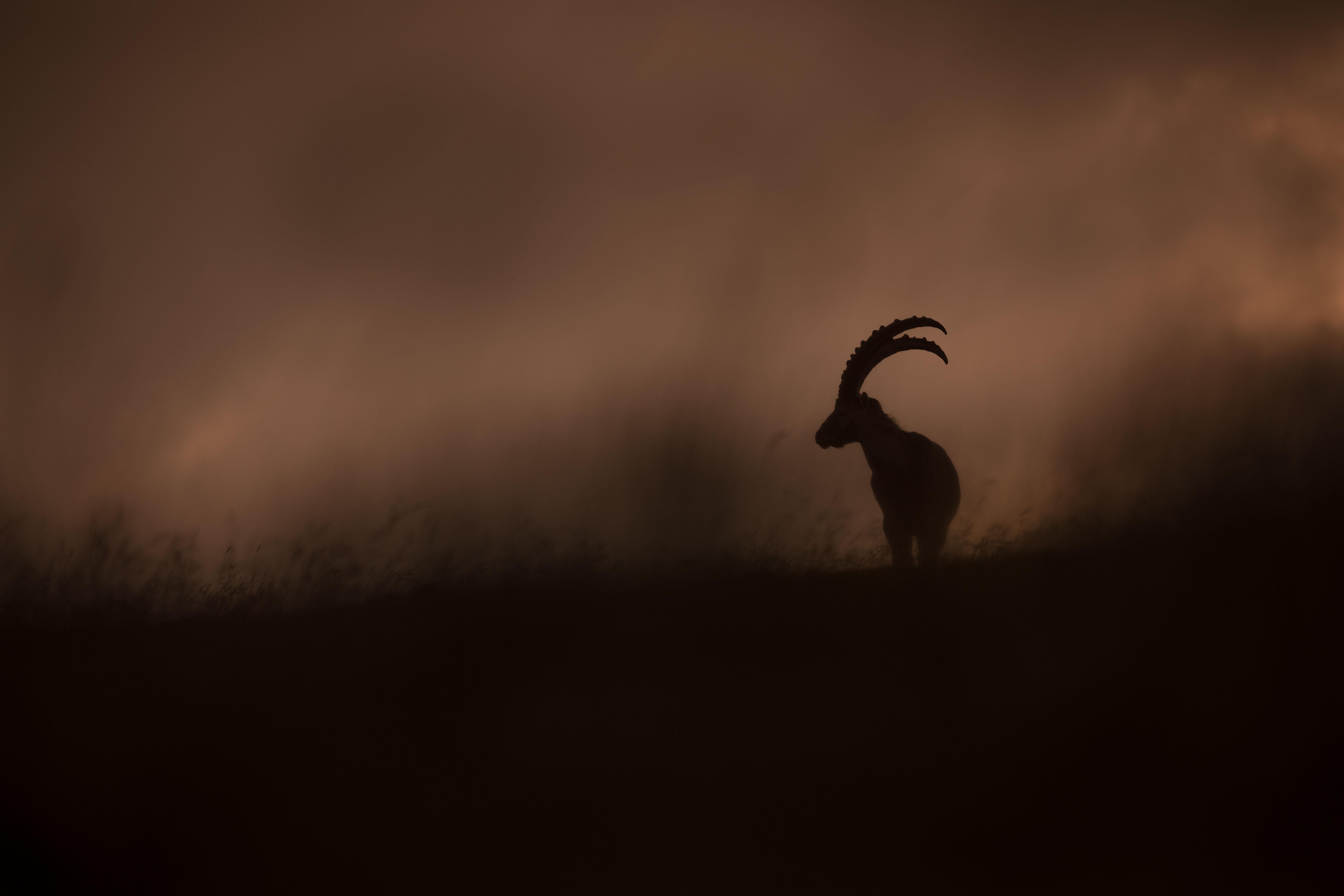 L'Été
